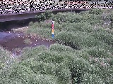 ���苴�t�߂̉摜