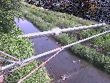 ��C���t�߂̉摜
