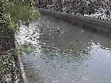 �V�c�ԋ��t�߂̉摜