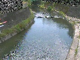 �{�苴�t�߂̉摜