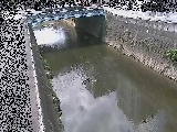 ���g���t�߂̉摜