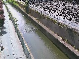 �������t�߂̉摜