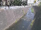 �V�O�֋��t�߂̉摜