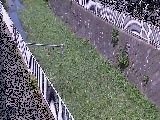 �����t�߂̉摜
