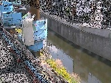 �����t�߂̉摜