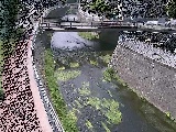 ���R���t�߂̉摜