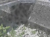 �΋��t�߂̉摜