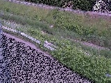 �����t�߂̉摜