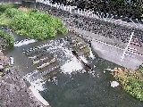 �V�苴�t�߂̉摜
