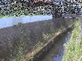 �����t�߂̉摜