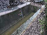 �h���t�߂̉摜