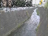 �V�O�֋��t�߂̉摜