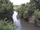 �C�V�������H�t�߂̉摜