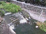 �V�苴�t�߂̉摜