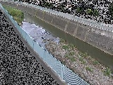 �x�m�����t�߂̉摜