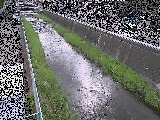 ���m���t�߂̉摜