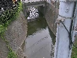 �勴�t�߂̉摜
