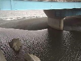 �g�c���t�߂̉摜