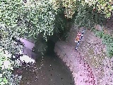 �咬���t�߂̉摜