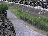 ���~���t�� �̉摜