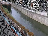 �����t�߂̉摜