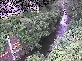 �������t�߂̉摜