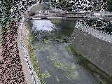 ���R���t�߂̉摜