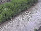 �x�����t�߂̉摜