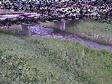 ���͌����t�߂̉摜