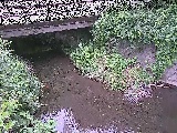 �V�������t�߂̉摜