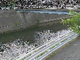 �鏠���t�߂̉摜