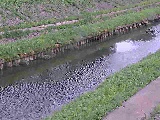 �������t�߂̉摜