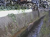 �����t�߂̉摜