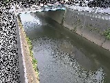 ���g���t�߂̉摜