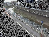 �������t�߂̉摜