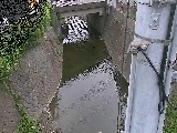 �勴�t�߂̉摜