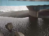�g�c���t�߂̉摜