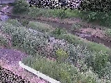 �����t�߂̉摜