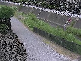 ���~���t�� �̉摜