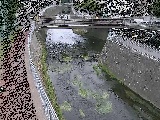 ���R���t�߂̉摜