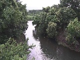 �C�V�������H�t�߂̉摜