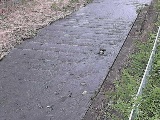 ���㋴�t�߂̉摜