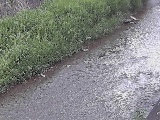 �x�����t�߂̉摜