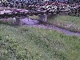 ���͌����t�߂̉摜
