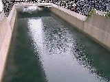 �������Y���t�߂̉摜