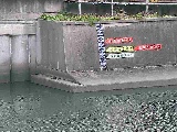 ���������t�߂̉摜
