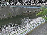 �鏠���t�߂̉摜
