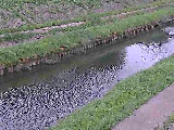 �������t�߂̉摜