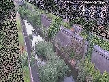 ��苴�t�߂̉摜