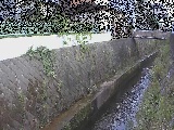 �����t�߂̉摜